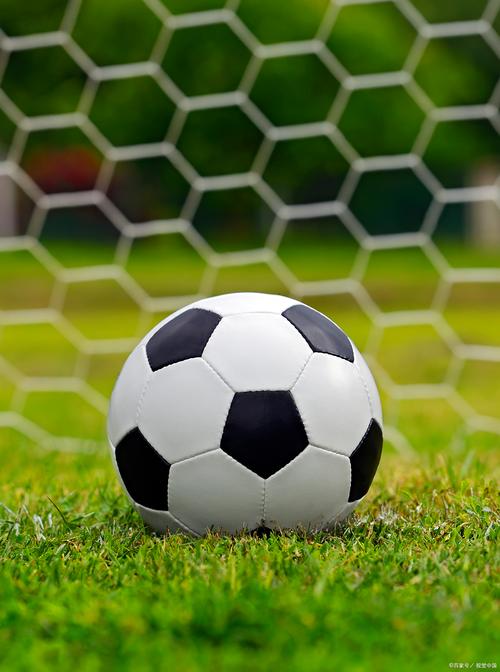 万能小偷镜像站群版